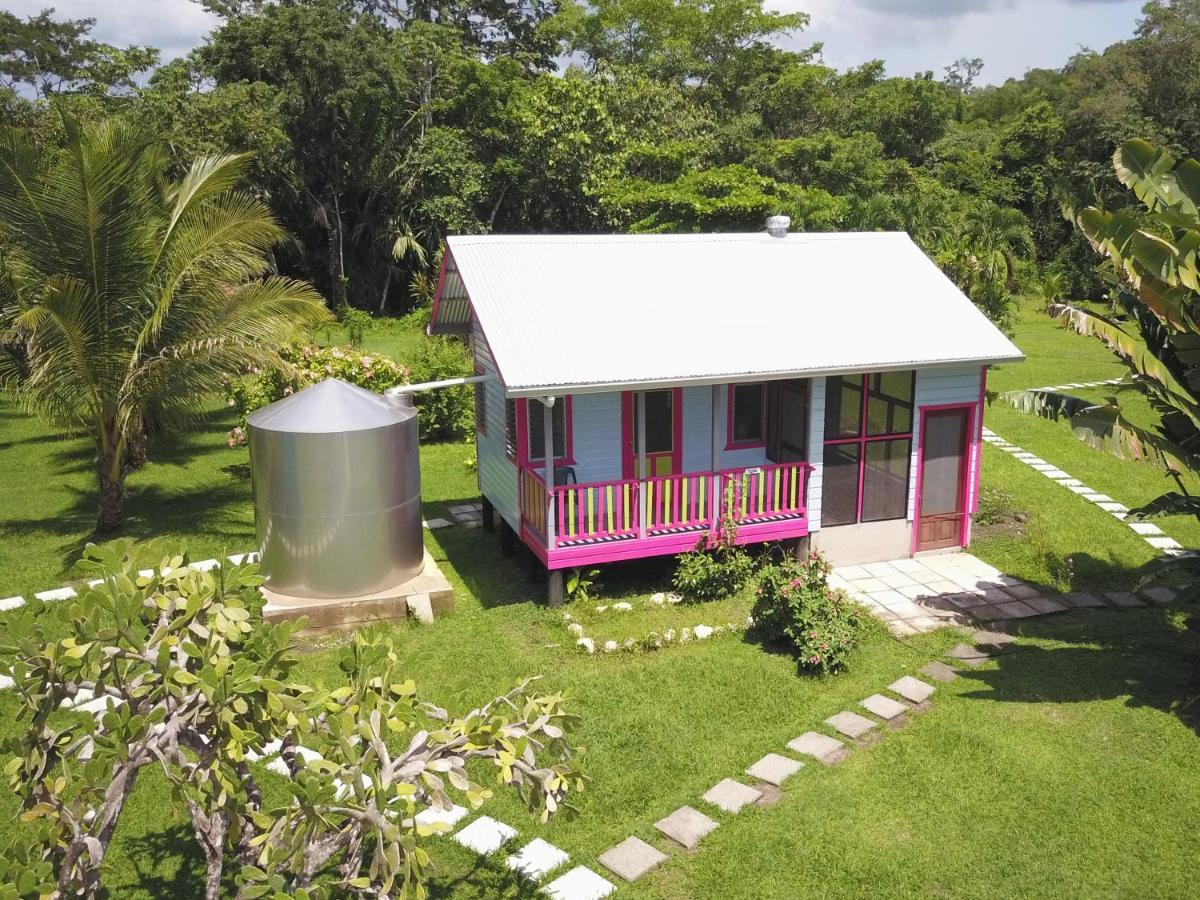 Lower Dover Jungle Lodge & Maya Ruins Unitedville エクステリア 写真