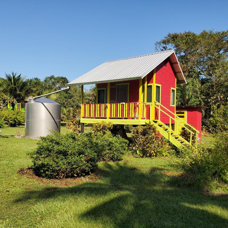 Lower Dover Jungle Lodge & Maya Ruins Unitedville エクステリア 写真