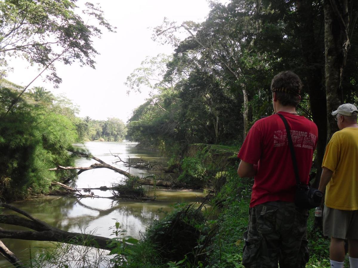 Lower Dover Jungle Lodge & Maya Ruins Unitedville エクステリア 写真