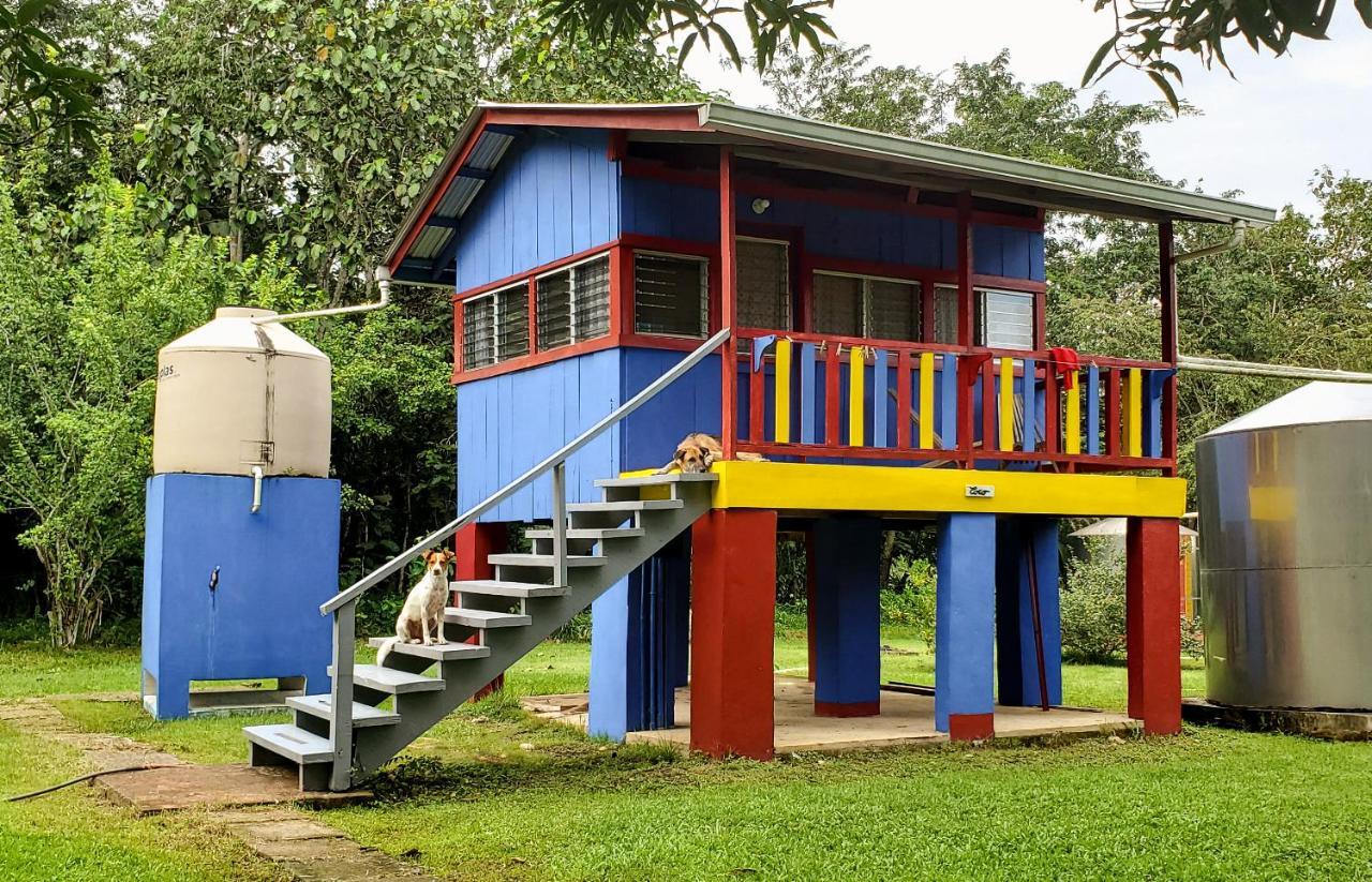 Lower Dover Jungle Lodge & Maya Ruins Unitedville エクステリア 写真