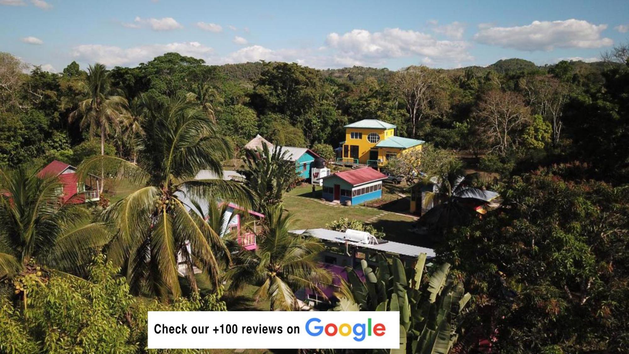 Lower Dover Jungle Lodge & Maya Ruins Unitedville エクステリア 写真