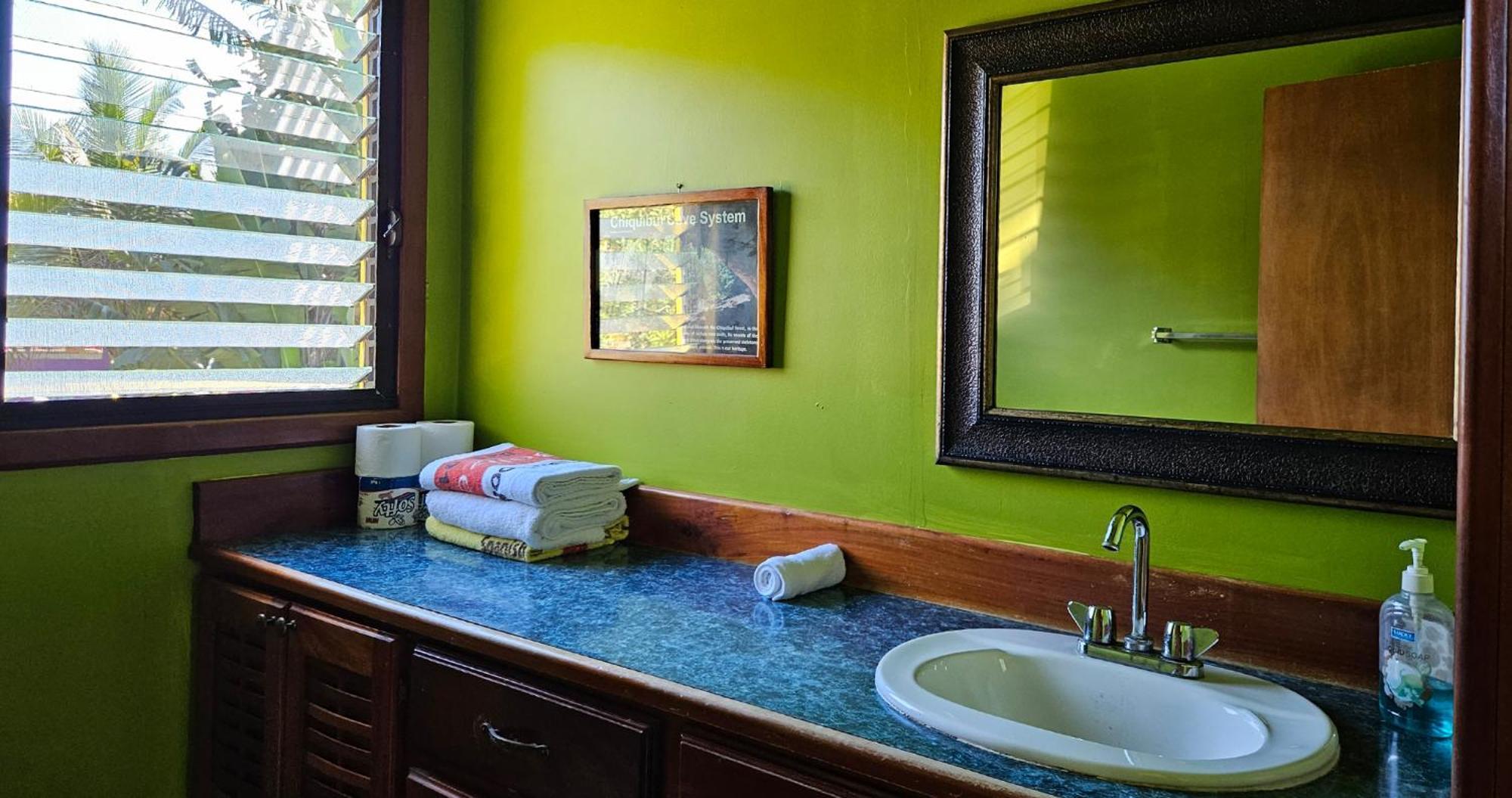 Lower Dover Jungle Lodge & Maya Ruins Unitedville 部屋 写真