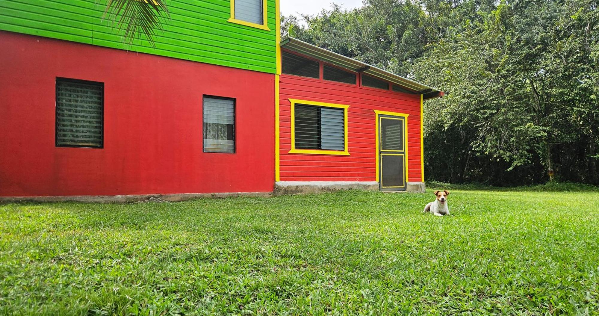 Lower Dover Jungle Lodge & Maya Ruins Unitedville 部屋 写真