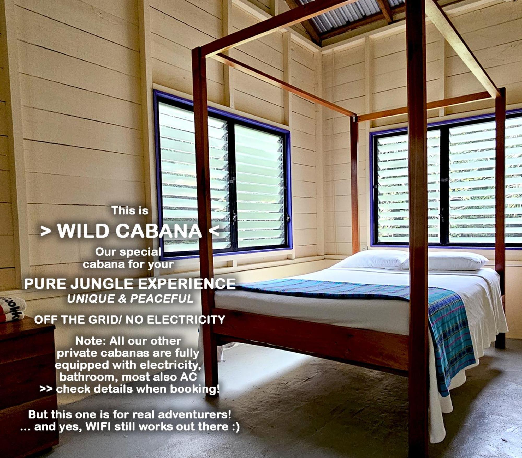 Lower Dover Jungle Lodge & Maya Ruins Unitedville 部屋 写真