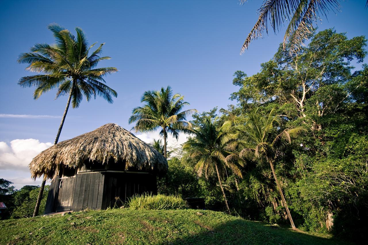 Lower Dover Jungle Lodge & Maya Ruins Unitedville エクステリア 写真