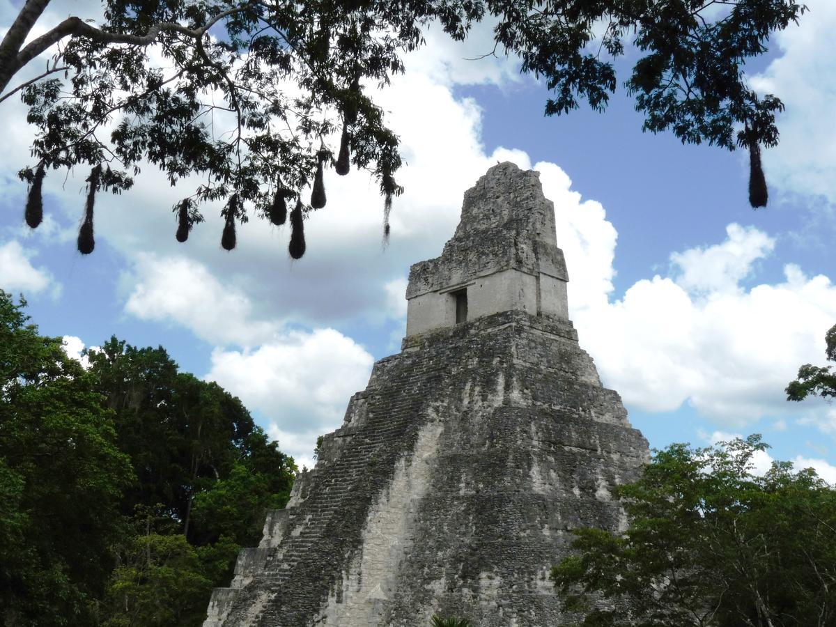 Lower Dover Jungle Lodge & Maya Ruins Unitedville エクステリア 写真