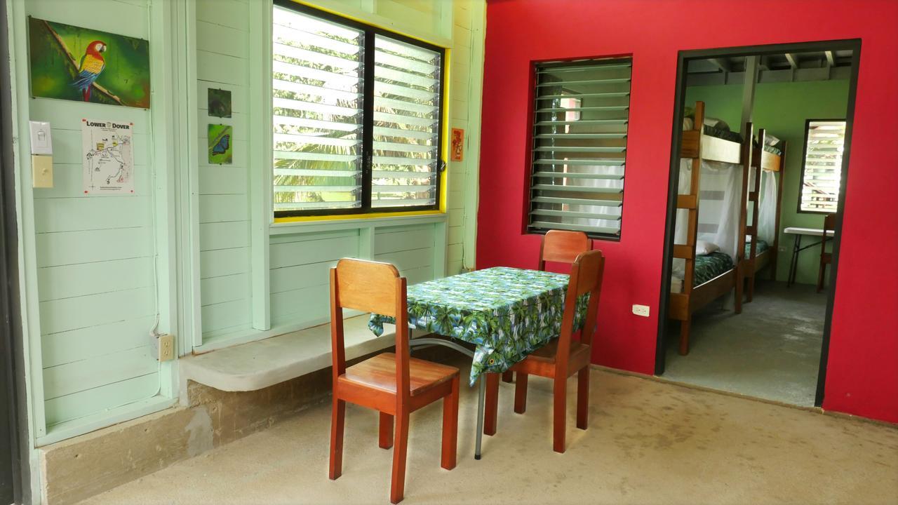 Lower Dover Jungle Lodge & Maya Ruins Unitedville エクステリア 写真
